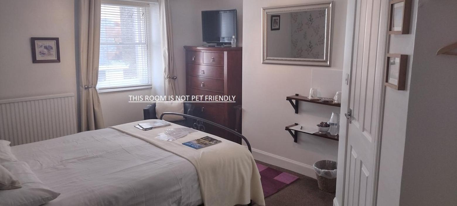 29 Well Street B&B 모팟 외부 사진