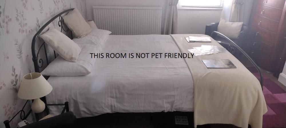 29 Well Street B&B 모팟 외부 사진